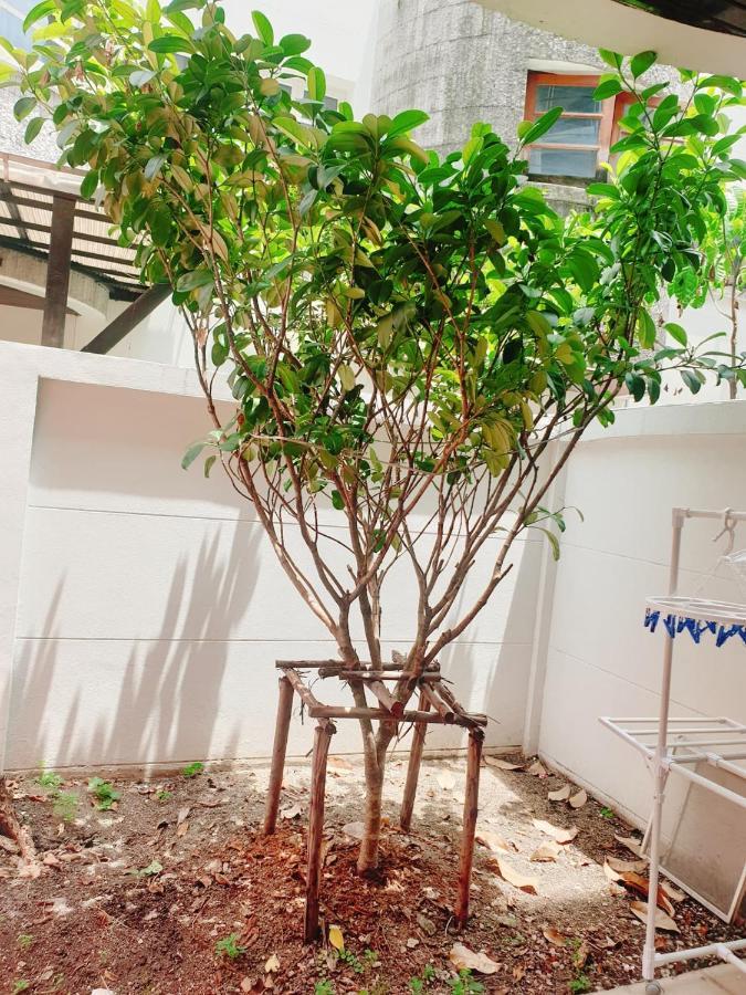 Kru Nat'S Bed & Breakfast W/ Private Rooms & Gym Bangkok Esterno foto